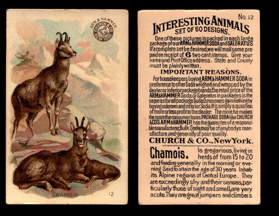 Interesting Animals You Pick Single Card #1-60 1892 J10 Church Arm & Hammer #12 Chamois  - TvMovieCards.com