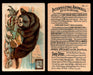 Interesting Animals You Pick Single Card #1-60 1892 J10 Church Arm & Hammer #17 Sea Otter Dwight Soda  - TvMovieCards.com