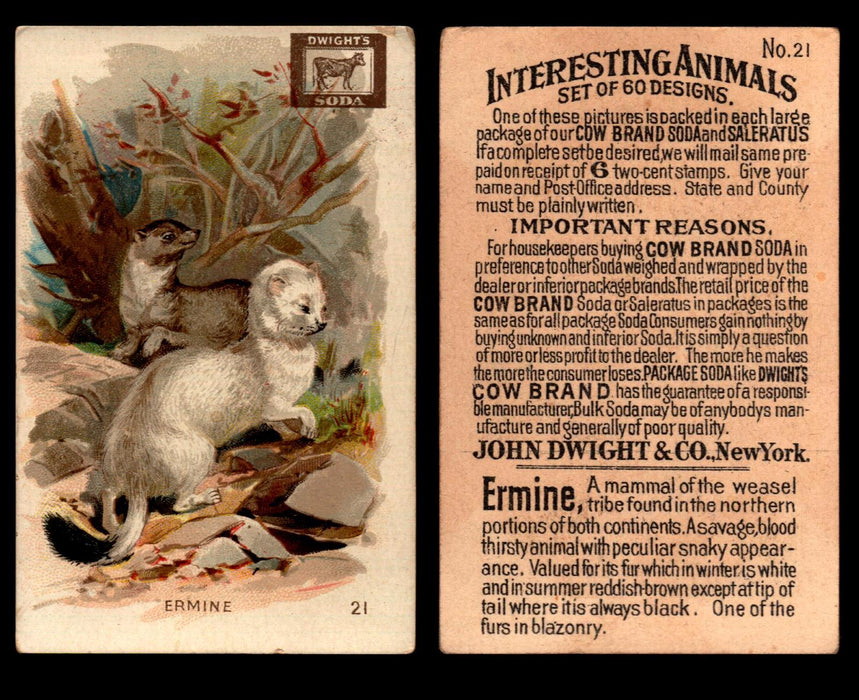 Interesting Animals You Pick Single Card #1-60 1892 J10 Church Arm & Hammer #21 Ermine Dwight Soda  - TvMovieCards.com