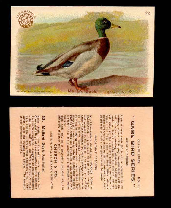 1904 Arm & Hammer Game Bird Series Vintage Trading Cards Singles #1-30 #22 Mallard Duck  - TvMovieCards.com