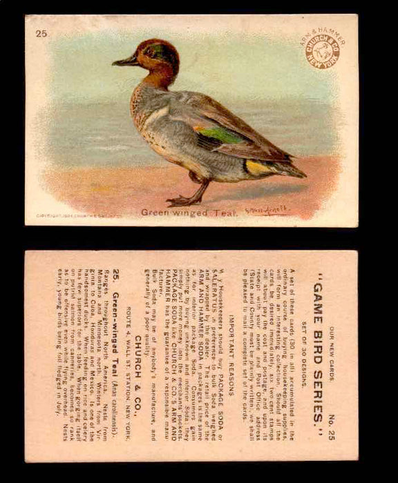 1904 Arm & Hammer Game Bird Series Vintage Trading Cards Singles #1-30 #25 Green Winged Teal  - TvMovieCards.com