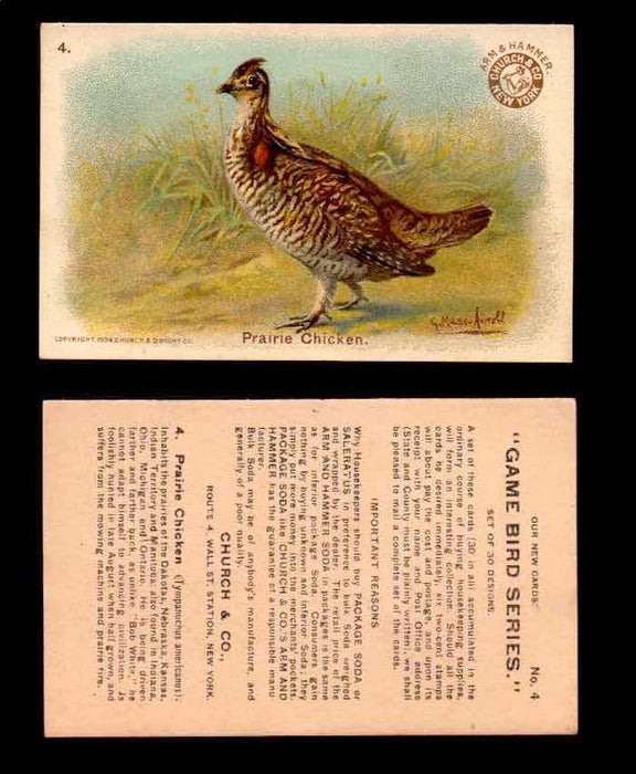 1904 Arm & Hammer Game Bird Series Vintage Trading Cards Singles #1-30 #4 Prairie Chicken  - TvMovieCards.com