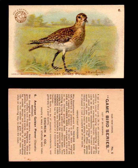 1904 Arm & Hammer Game Bird Series Vintage Trading Cards Singles #1-30 #6 American Golden Plover  - TvMovieCards.com