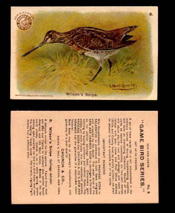 1904 Arm & Hammer Game Bird Series Vintage Trading Cards Singles #1-30 #8 Wilson's Snipe  - TvMovieCards.com