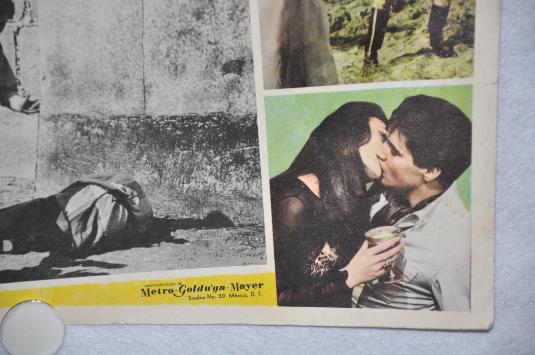 Harum Scarum 1965 Mexican Lobby Card Movie Poster Elvis Presley #3   - TvMovieCards.com