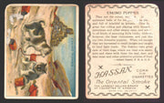 1910 T30 Hassan Tobacco Cigarettes Arctic Scenes Vintage Trading Cards Singles #11 Eskimo Puppies  - TvMovieCards.com