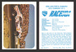 Race USA AHRA Drag Champs 1973 Fleer Vintage Trading Cards You Pick Singles 18 of 74   Ken Holthe's Camaro  - TvMovieCards.com