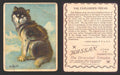 1910 T30 Hassan Tobacco Cigarettes Arctic Scenes Vintage Trading Cards Singles #19 The Explorers Friend  - TvMovieCards.com