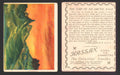 1910 T30 Hassan Tobacco Cigarettes Arctic Scenes Vintage Trading Cards Singles #20 The Fury of an Arctic Gale  - TvMovieCards.com