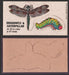 1967 Disgusting Disguises Sticker Trading Card You Pick Singles #1-27 #	 25   Dragonfly & Caterpillar  - TvMovieCards.com