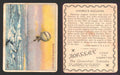 1910 T30 Hassan Tobacco Cigarettes Arctic Scenes Vintage Trading Cards Singles #2 Andrees Ballon  - TvMovieCards.com