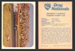 AHRA Drag Nationals 1971 Fleer Canada Trading Cards You Pick Singles #1-70 44 of 70   Braskett & Burgin               Camaro Funny Car  - TvMovieCards.com