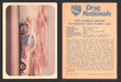 AHRA Drag Nationals 1971 Fleer Canada Trading Cards You Pick Singles #1-70 46 of 70   "Hot Wheels Snake"              Plymouth Cuda Funny Car  - TvMovieCards.com