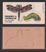 1967 Disgusting Disguises Sticker Trading Card You Pick Singles #1-27 #	  5   Dragonfly & Caterpillar  - TvMovieCards.com