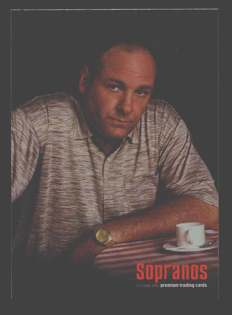 2005 Inkworks The Sopranos #S1-SD Tony Soprano Promo Trading Card