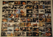 John Wayne The Duke Base Card Set 72 Cards Breygent 2005   - TvMovieCards.com