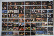 Harry Potter and the Sorcerer's Stone Trading Base Card Set 90 Cards 1st Movie   - TvMovieCards.com