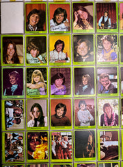 1971 Topps The Partridge Family Green Series 3 Complete (88) Trading Card Set   - TvMovieCards.com