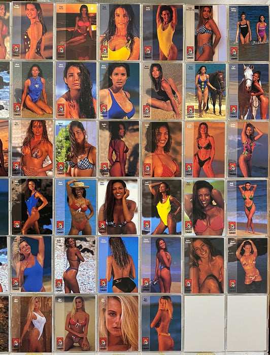 Endless Summer Base Card Set 50 Cards Swimsuit Girls Portfolio International 1993   - TvMovieCards.com