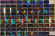 2018 Fright Rags House of 1000 Corpses Complete Parallel Rainbow Foil Set 88/88 - TvMovieCards.com