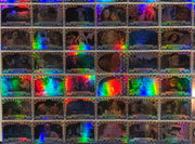2018 Fright Rags House of 1000 Corpses Complete Parallel Rainbow Foil Set 88/88 - TvMovieCards.com