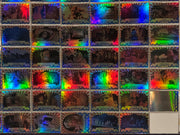 2018 Fright Rags House of 1000 Corpses Complete Parallel Rainbow Foil Set 88/88 - TvMovieCards.com