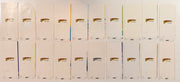 1978 DC Comics Superman & Friends Complete Set of 48 Birthday/Greeting Cards - TvMovieCards.com