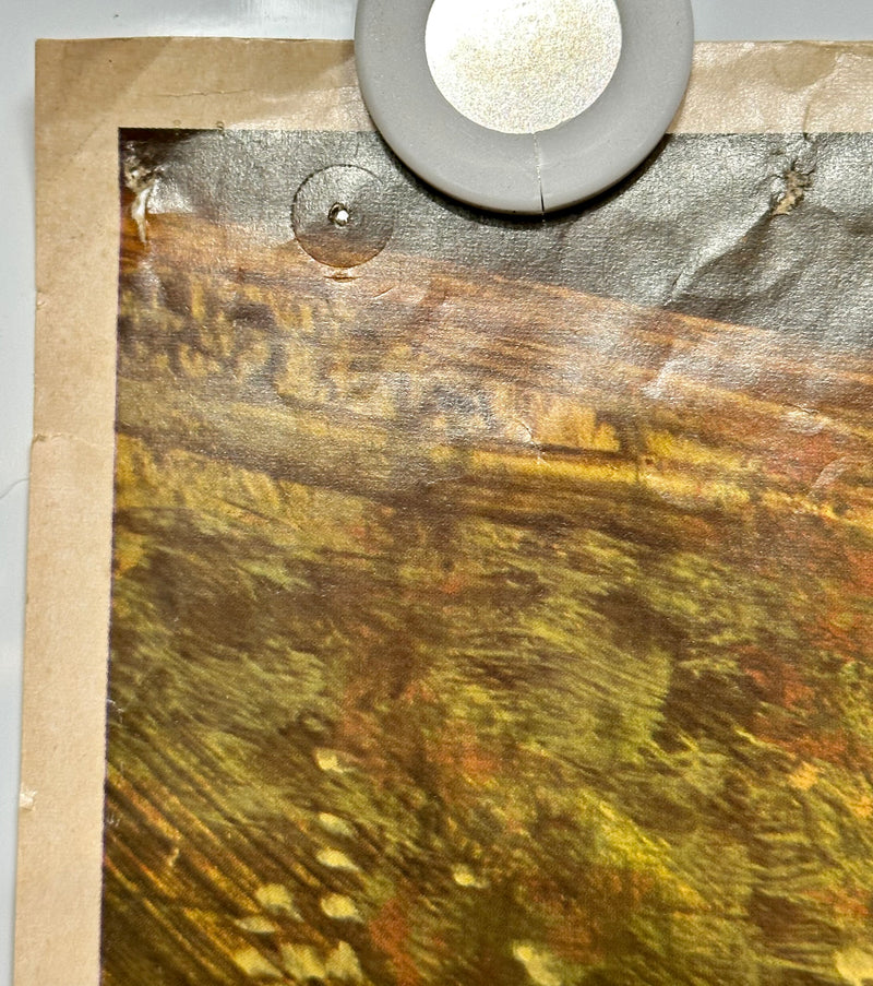 1970 Original Hot Wheels California 500 Poster Mattel Rare Ontario Motor Speedwa - TvMovieCards.com