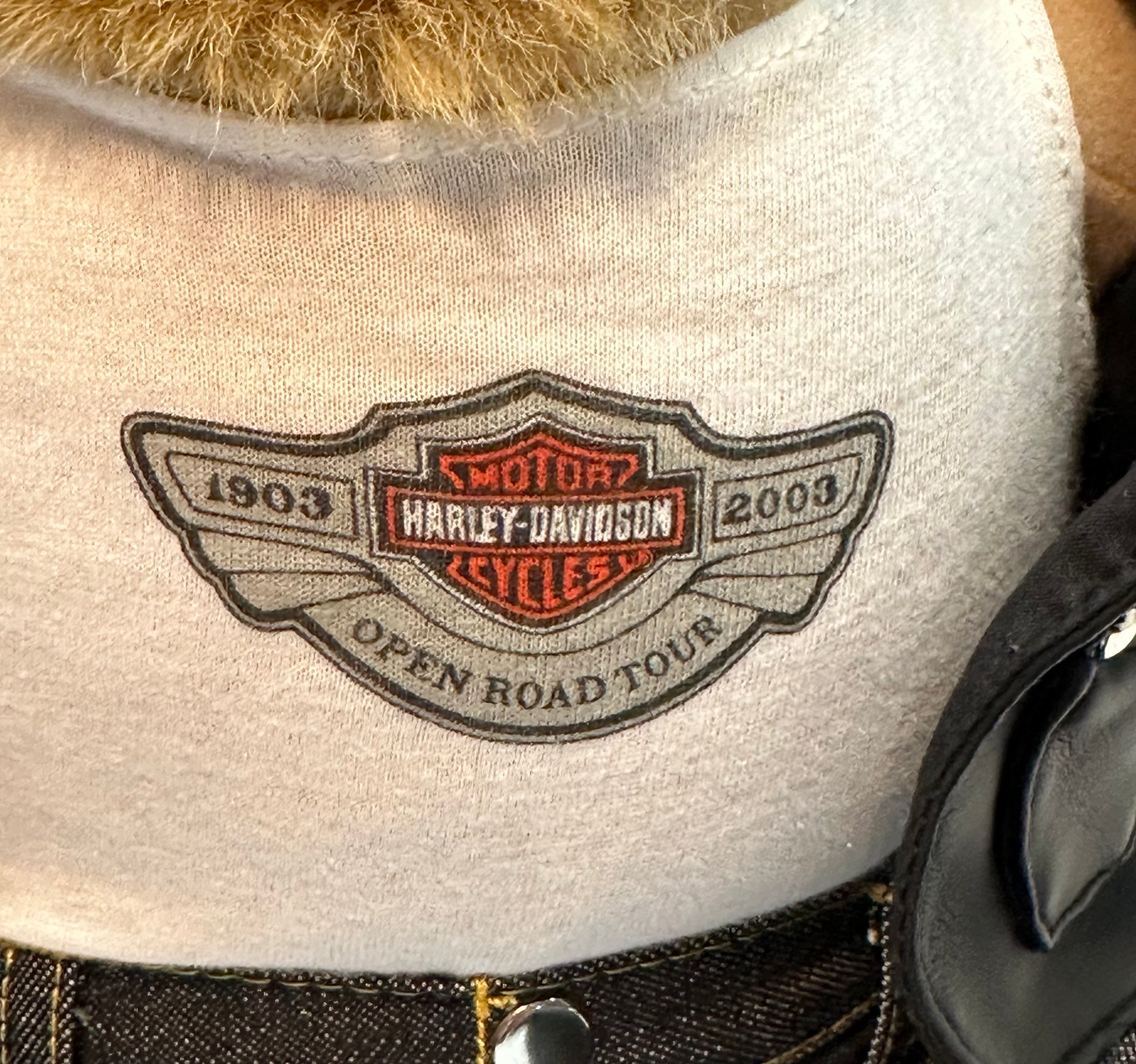 2003 Harley Davidson Bear 100th Anniversary Open Road Tour Plush