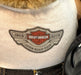 2003 Harley Davidson Bear 100th Anniversary Open Road Tour Plush Teddy Bear   - TvMovieCards.com