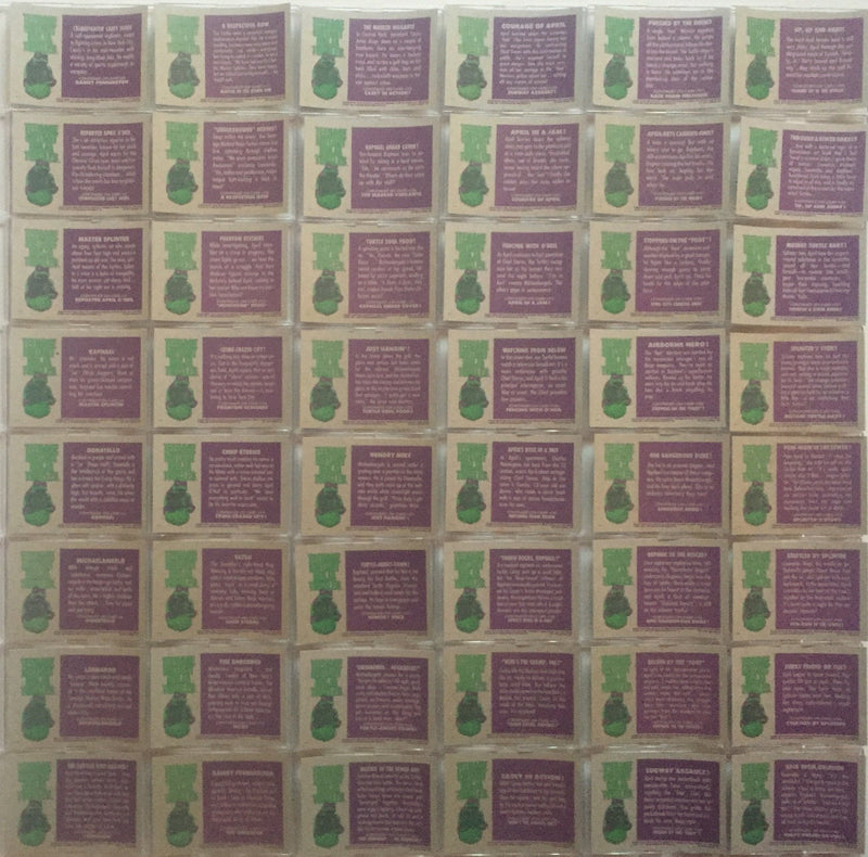 Teenage Mutant Ninja Turtles Movie One Card Set 132 Cards and 11 Stickers   - TvMovieCards.com