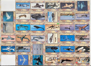 Desert Storm War Trading Card Set 250 Cards 1991 Pro Set   - TvMovieCards.com