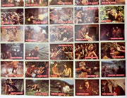 1956 Davy Crockett Series 1 Green Back Trading Card Set of 80 Cards Topps   - TvMovieCards.com