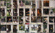 Walking Dead Season 4 Part 1 Gold Foil Parallel Complete Base Trading Card Set o - TvMovieCards.com