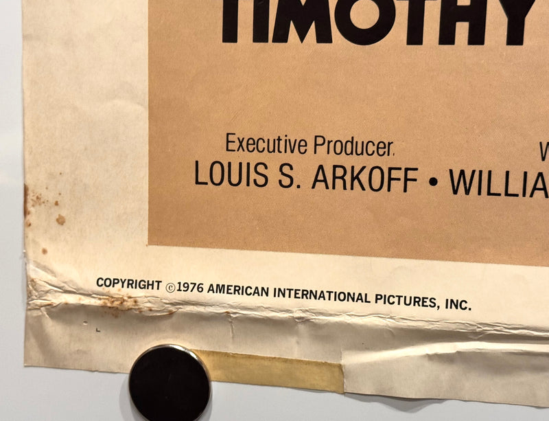 1976 A Small Town in Texas Original 1SH Movie Poster 27x41 Timothy Bottoms Susan - TvMovieCards.com