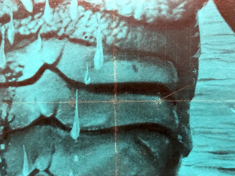 1972 Creature from the Black Lagoon 3-D 1SH Linen Backed Movie Poster 27x41 Rich - TvMovieCards.com
