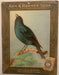 Birds - Arm & Hammer Advertising Store Display Card Sign - Indigo Bunting J5   - TvMovieCards.com