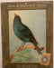 Birds - Arm & Hammer Advertising Store Display Card Sign - Indigo Bunting J5   - TvMovieCards.com