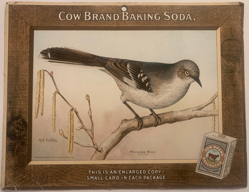 Cow Brand Soda Advertising Store Display Card Sign - Mockingbird J6 Arm & Hammer   - TvMovieCards.com