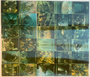 Godzilla The Movie Premium Lenticular Motion Chase Card Set 30 JPP/Amada - TvMovieCards.com