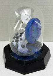 Franklin Mint Star Trek Miniature Sculpture “USS Enterprise NCC-1701” Glass Dome   - TvMovieCards.com