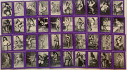 1992 Betty Page Series 4 Betty Passion Factory Trading Card Set 40 Cards IV - TvMovieCards.com