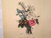Jean Louis Prevost Hand Colored Print "Lankspur, Primula, Narcissus No 2"   - TvMovieCards.com