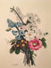Jean Louis Prevost Hand Colored Print "Lankspur, Primula, Narcissus No 2"   - TvMovieCards.com