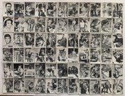1966 Philadelphia Gum Daktari Complete Card Set 66 Cards #1-66 NM Vintage TV Cla - TvMovieCards.com
