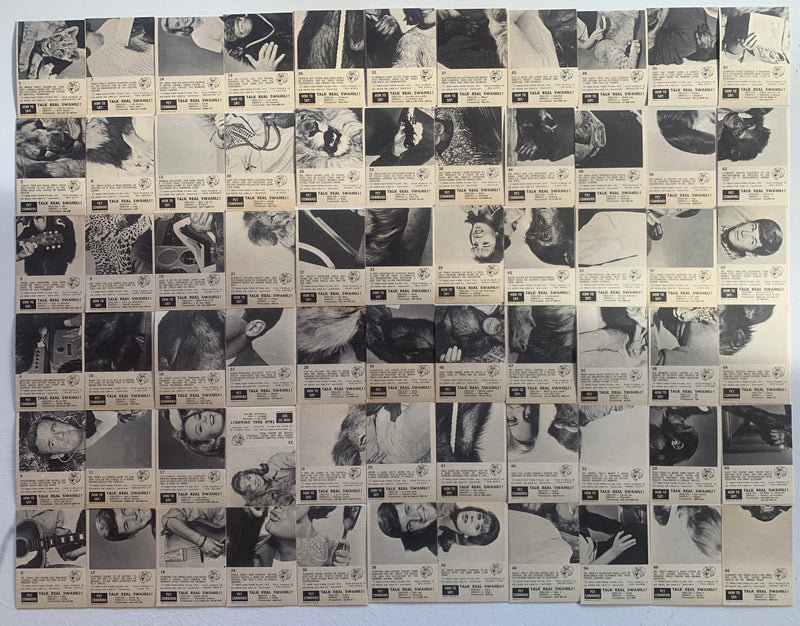 1966 Philadelphia Gum Daktari Complete Card Set 66 Cards #1-66 NM Vintage TV Cla - TvMovieCards.com