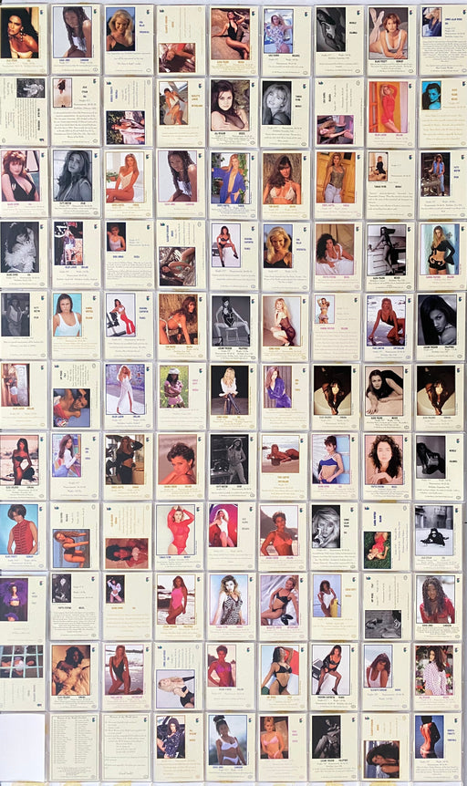 Steve Woron's Female Fantasy Art 1993 Base Trading Card Set 72 Cards   - TvMovieCards.com