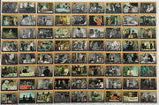 Beverly Hillbillies Base Trading Card Set 110 Cards Eclipse 1993   - TvMovieCards.com