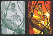 2012 DC Comics The New 52 Base Card Printing Plate 1/1 #58 Vixen Black   - TvMovieCards.com