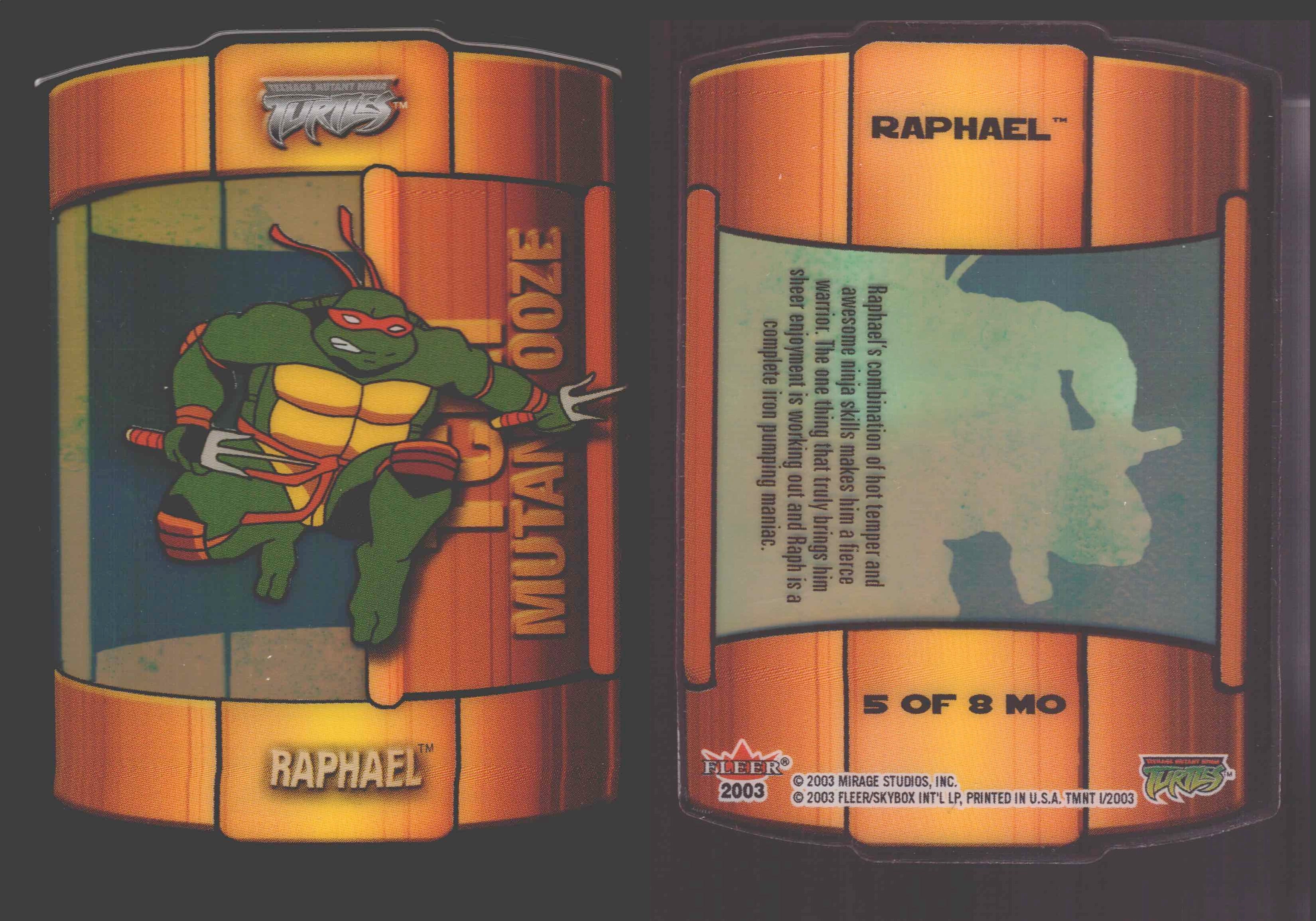2003 Teenage Mutant Ninja Turles TMNT 1/2 Fleer Insert Chase You
